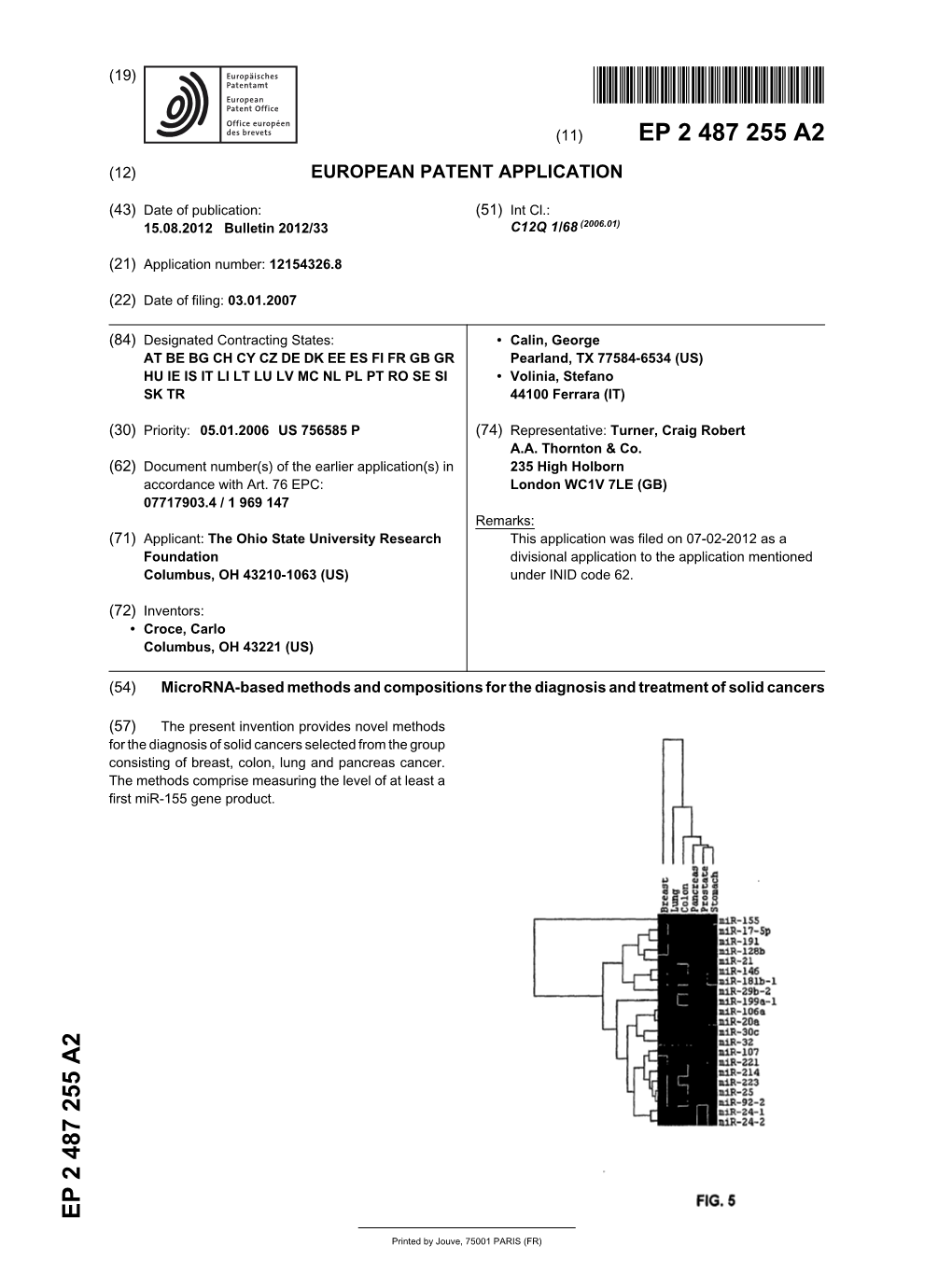 Microrna-Based Methods and Compositions for the Diagnosis and Treatment of Solid Cancers