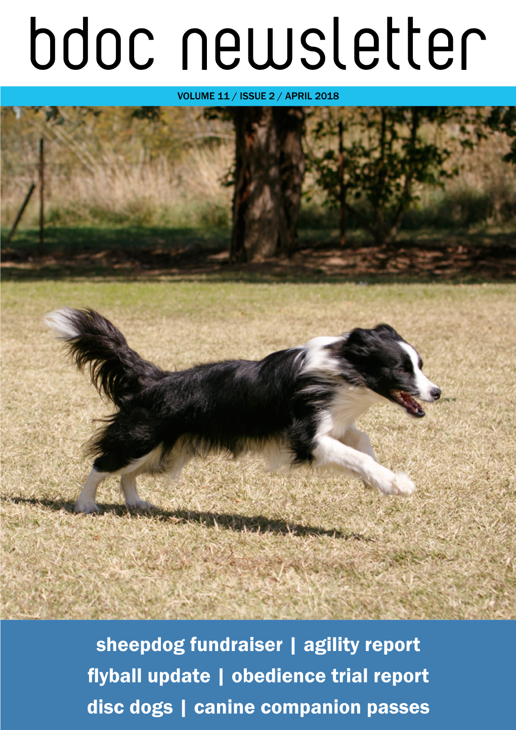 Sheepdog Fundraiser | Agility Report Flyball Update | Obedience Trial Report Disc Dogs | Canine Companion Passes in THIS ISSUE EDITOR’S NOTE About the Club