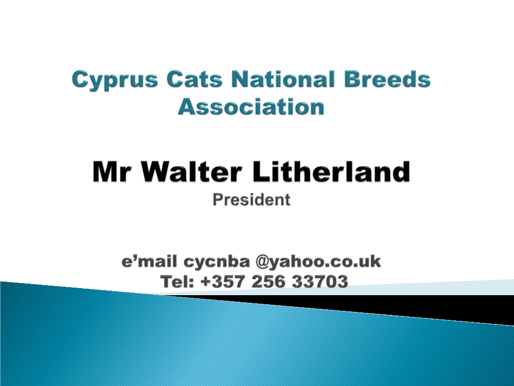 Cyprus Cats National Breeds Association Mr W