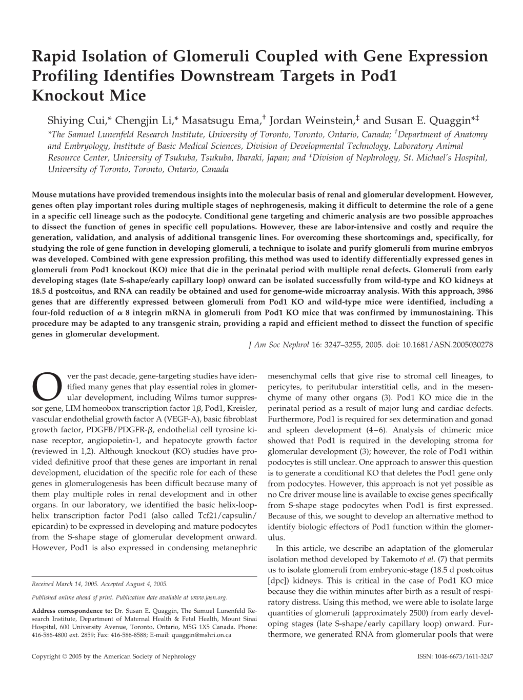 Rapid Isolation of Glomeruli Coupled with Gene Expression Profiling Identifies Downstream Targets in Pod1 Knockout Mice