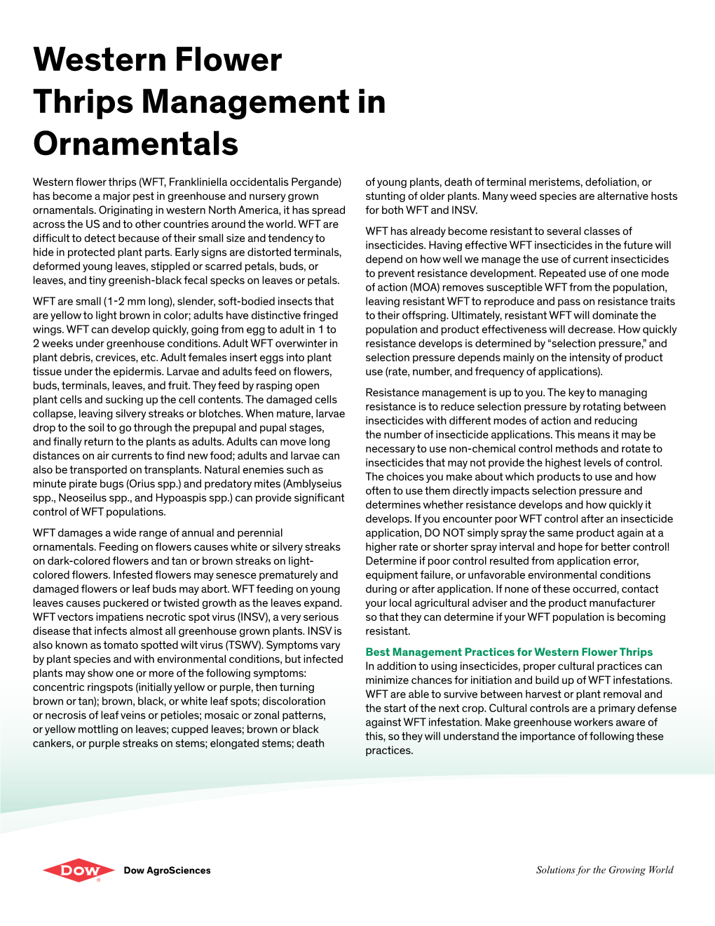 Western Flower Thrips Management in Ornamentals