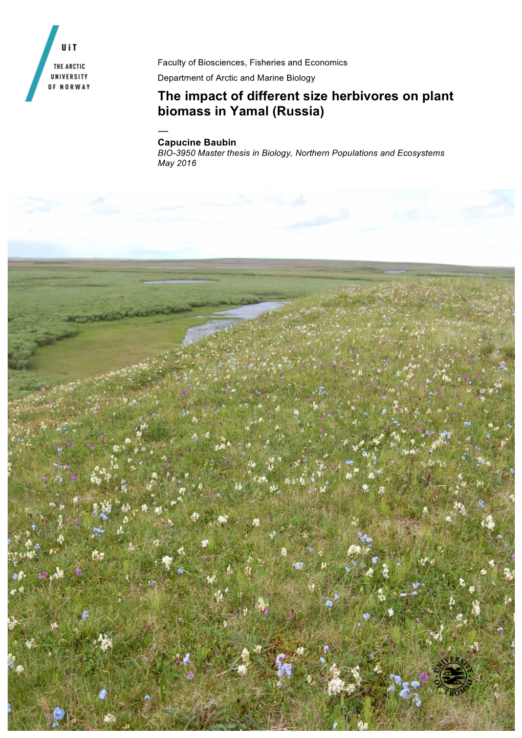 The Impact of Different Size Herbivores on Plant Biomass in Yamal