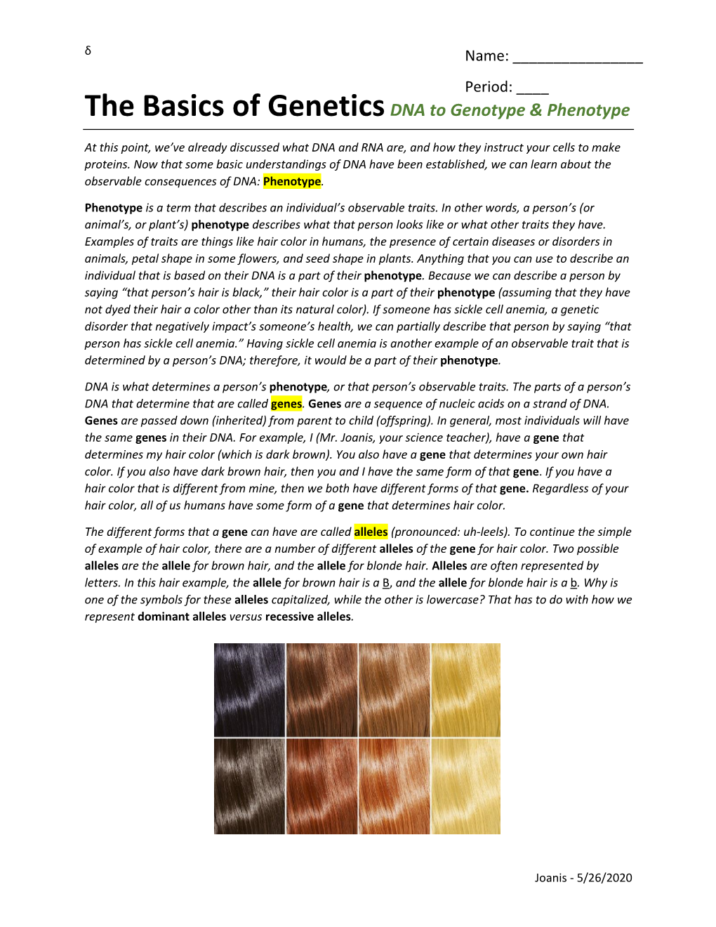 The Basics of Geneticsdna to Genotype & Phenotype