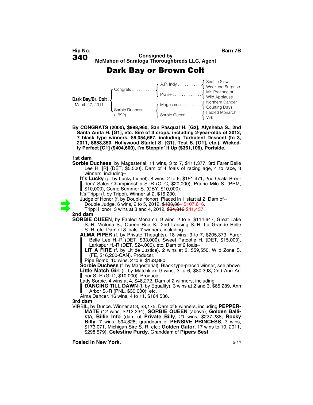 340 Mcmahon of Saratoga Thoroughbreds LLC, Agent Dark Bay Or Brown Colt