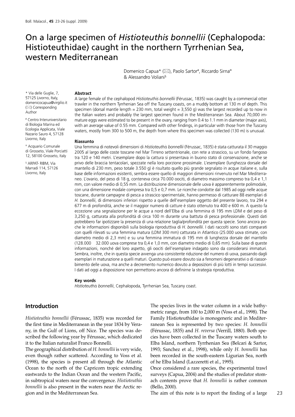 Cephalopoda: Histioteuthidae) Caught in the Northern Tyrrhenian Sea, Western Mediterranean