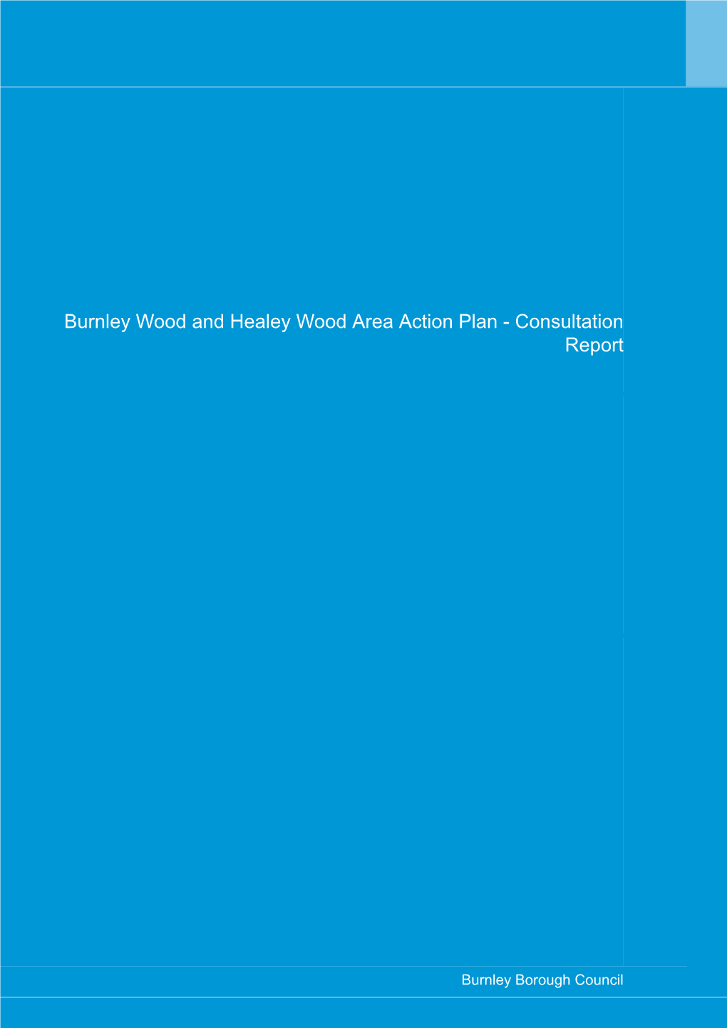 Burnley Wood and Healey Wood Area Action Plan - Consultation Report