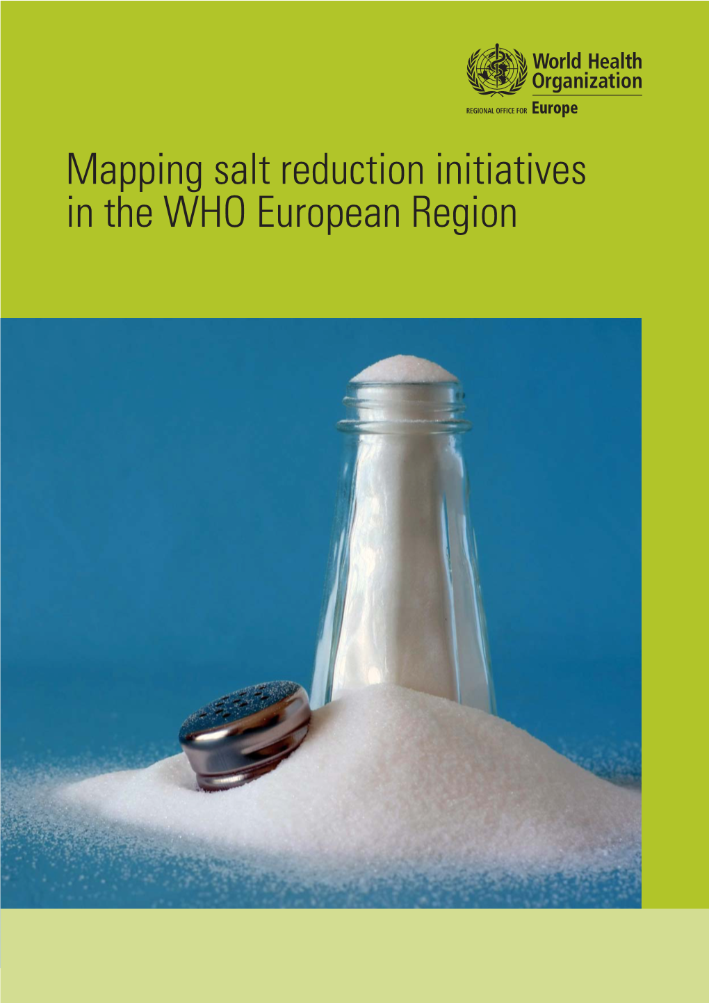 Mapping Salt Reduction Initiatives in the WHO European Region Final