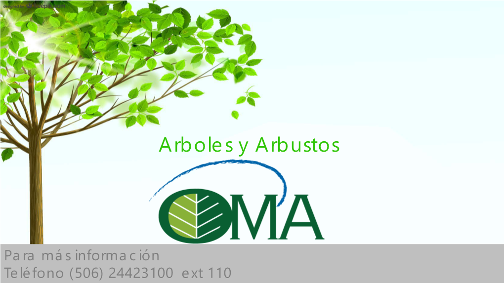 Arboles Y Arbustos