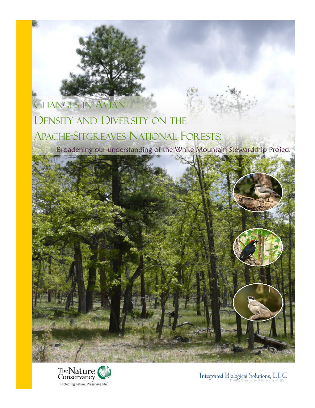 CHANGES in AVIAN DENSITY and DIVERSITY on the APACHE-SITGREAVES NATIONAL FORESTS: Broadening Our Understanding of the White Mountain Stewardship Project