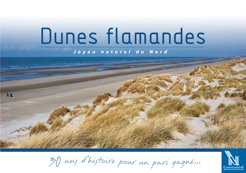 Dunes Flamandes : Joyau Naturel Du Nord