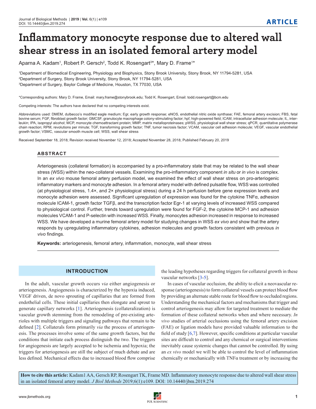 Inflammatory Monocyte Response Due to Altered Wall Shear Stress in an Isolated Femoral Artery Model Aparna A