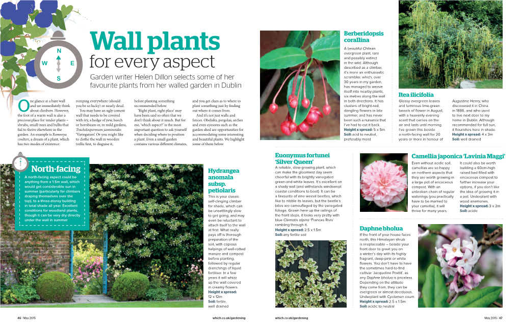 Wall Plants for Every Aspect May 2015