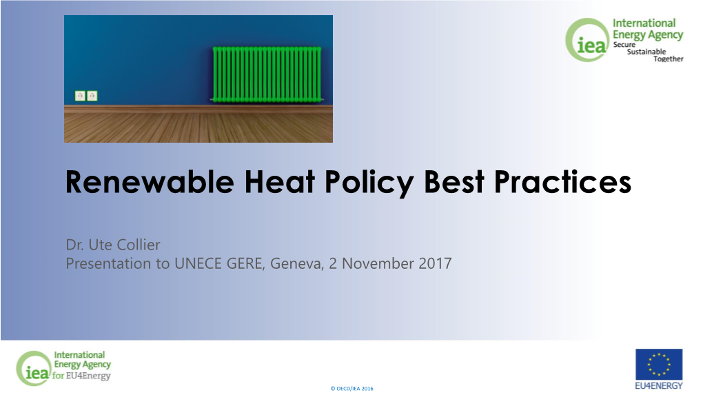 Renewable Heat Policy Best Practices