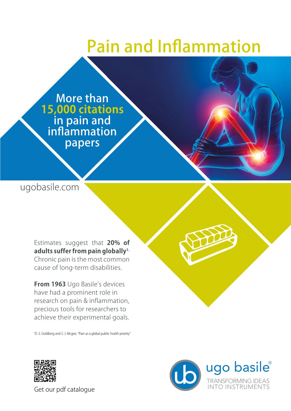 Pain and Inflammation