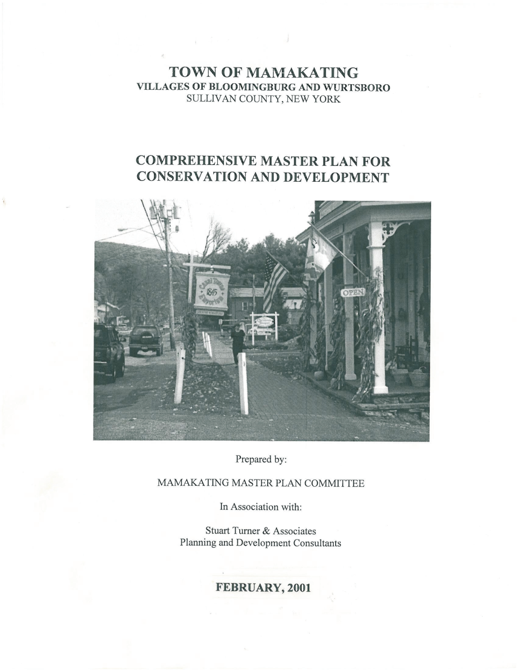 Town of Mamakating Master Plan 2001 (PDF)