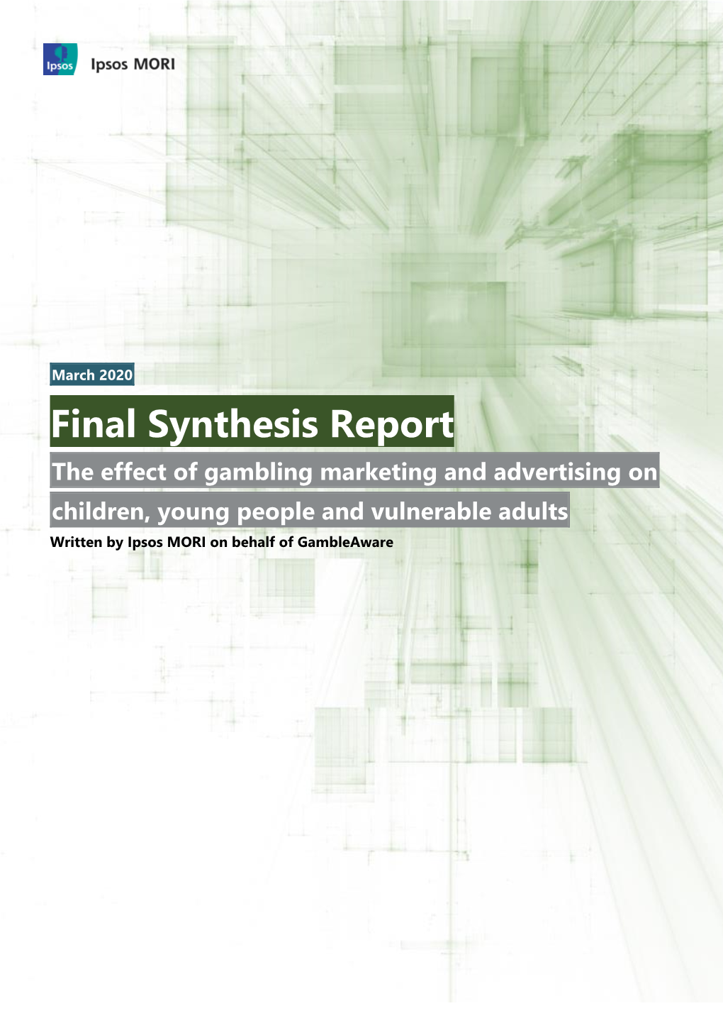 Final Synthesis Report
