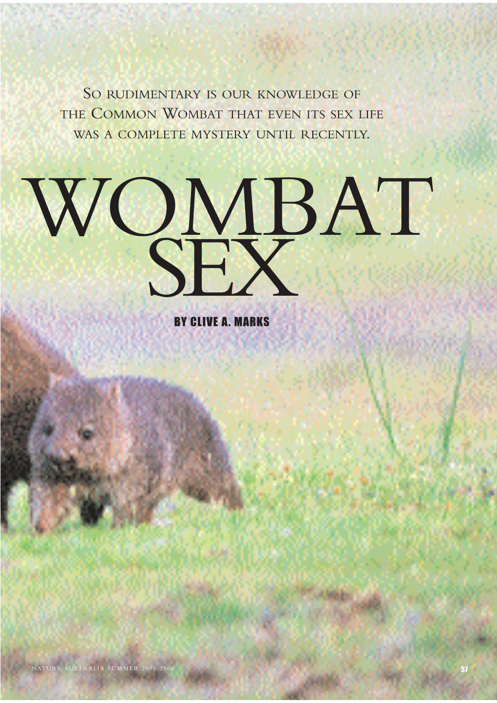 Wombat That Even Its Sex Life Wasacomplete Mystery Until Recently