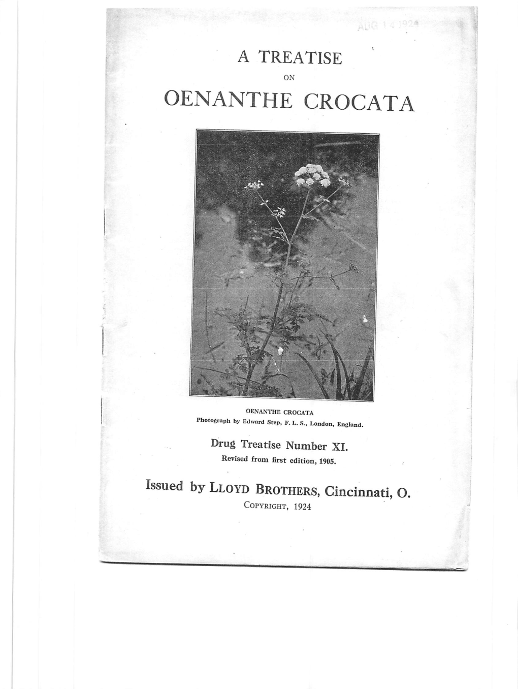 A Treatise on Oenanthe Crocata, 1924