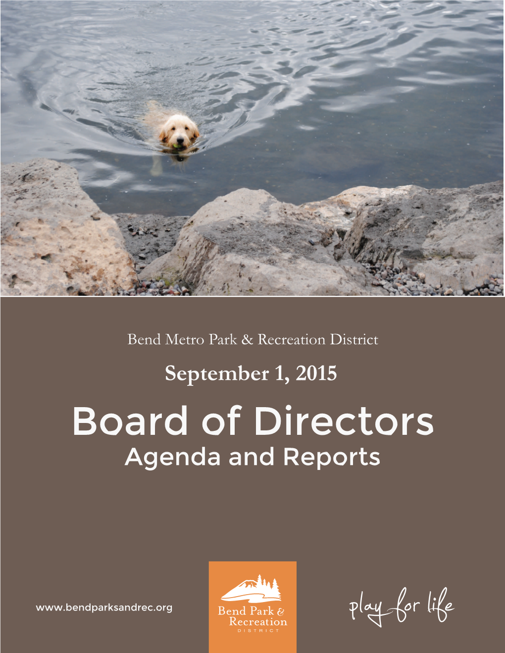 Board of Directors Agenda and Reports