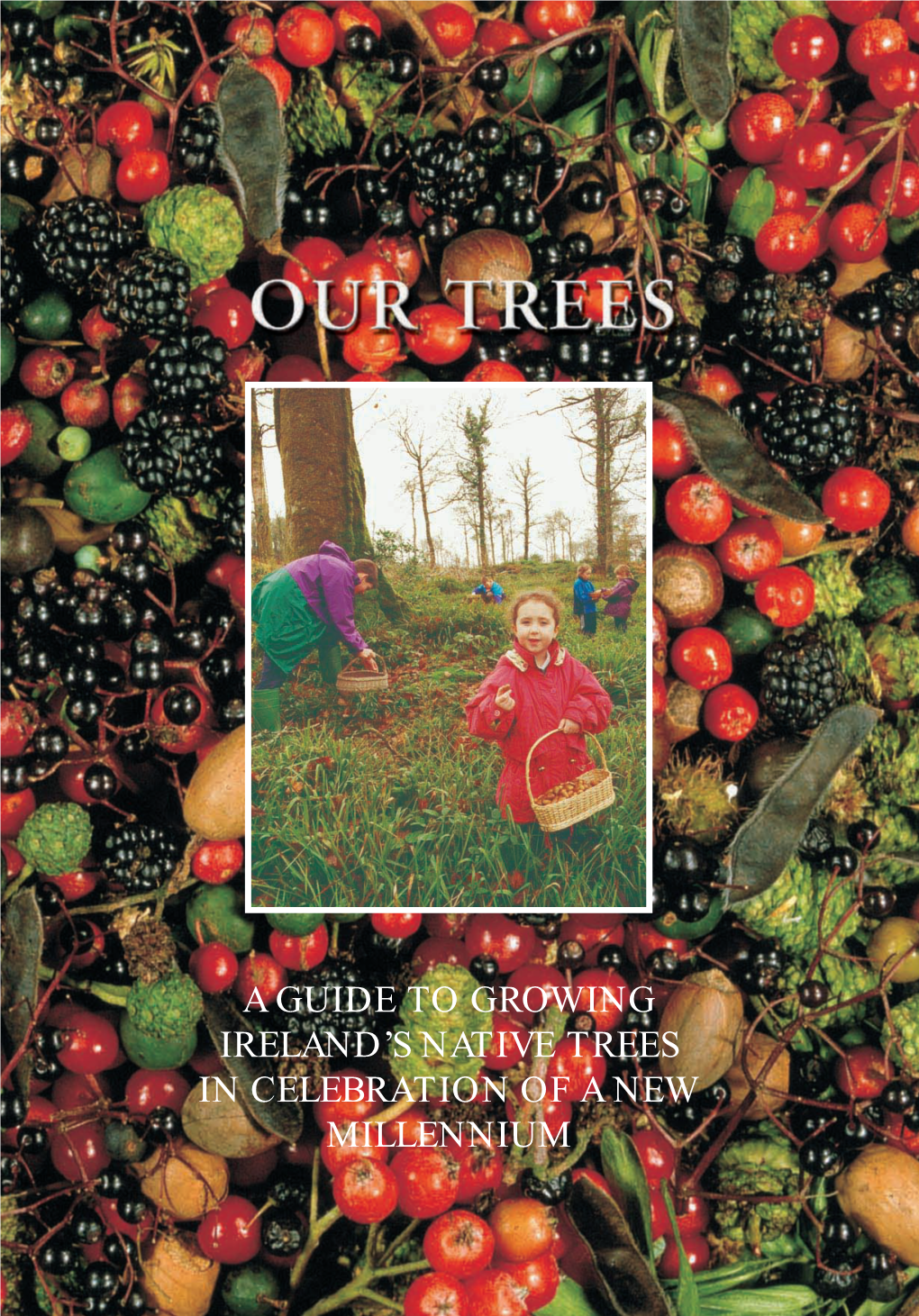 A Guide to Growing Ireland's Native Trees in Celebration