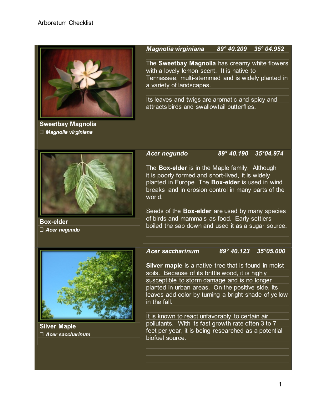 Arboretum Checklist 1 Sweetbay Magnolia Magnolia Virginiana 89