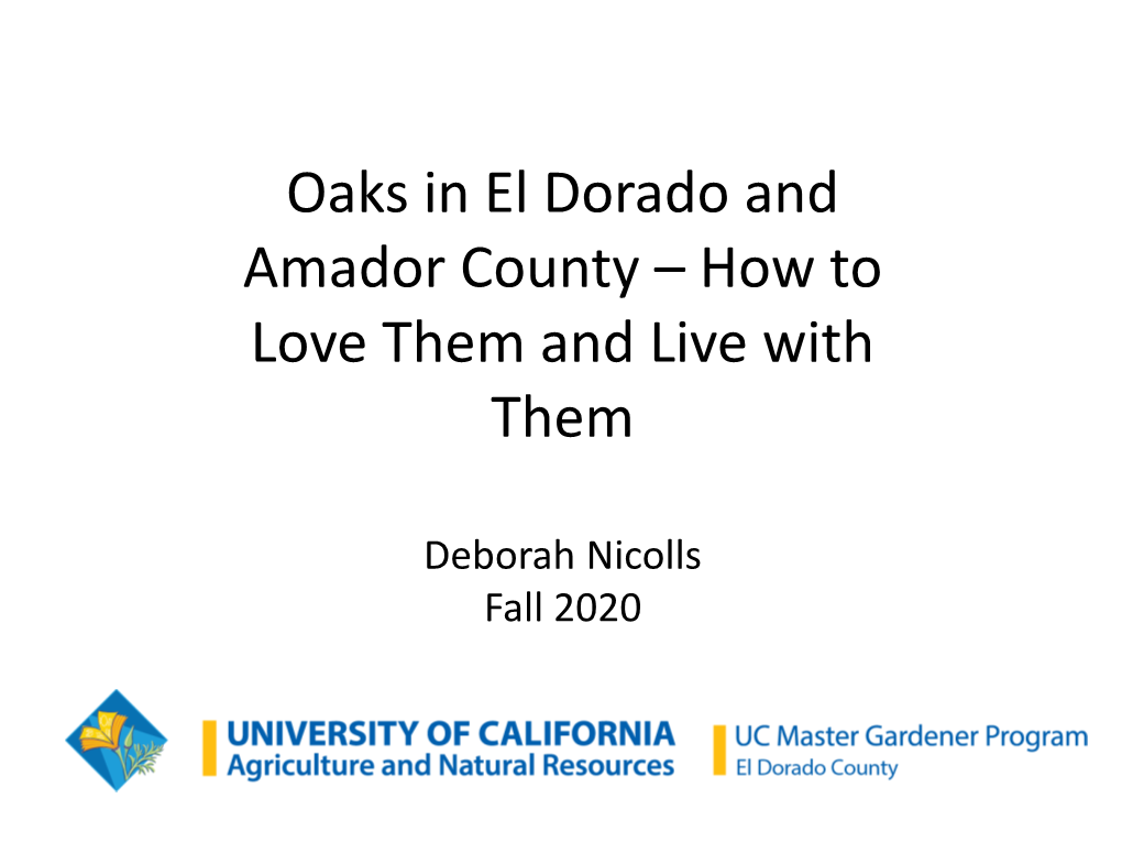 Oaks in El Dorado and Amador County – How to Love Them and Live with Them