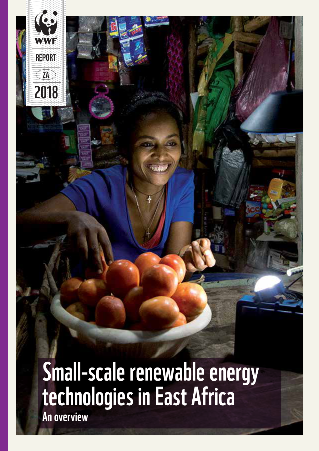 Small-Scale Renewable Energy Technologies in East Africa