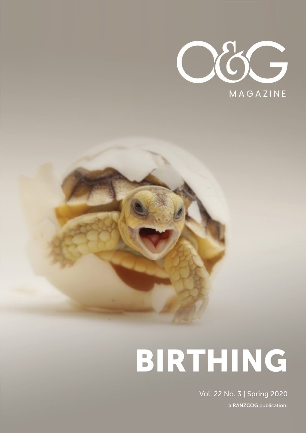 O&G Magazine Spring 2020 Birthing Issue