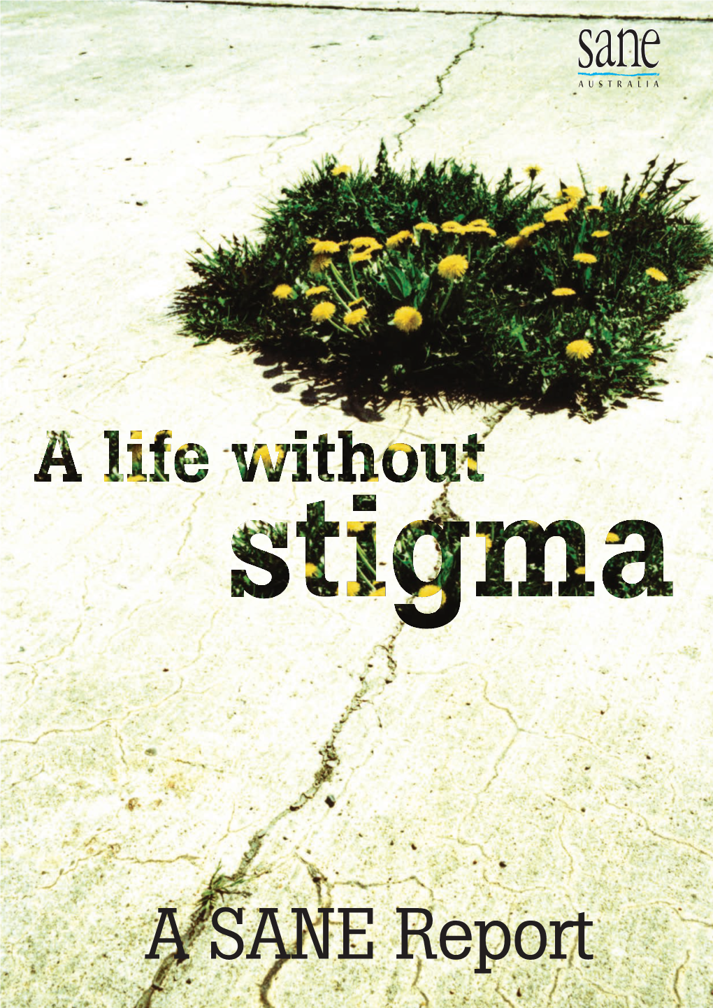 A SANE Report 1 a SANE Report a Life Without Stigma