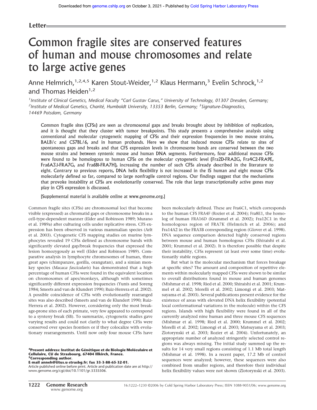 Common Fragile Sites Are Conserved Features of Human and Mouse Chromosomes and Relate to Large Active Genes