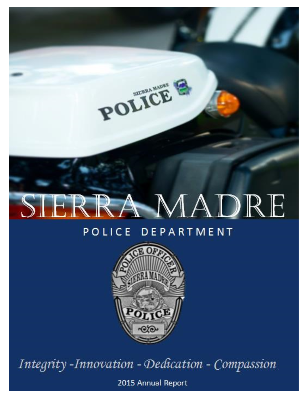 Police Department Annual Report 2015