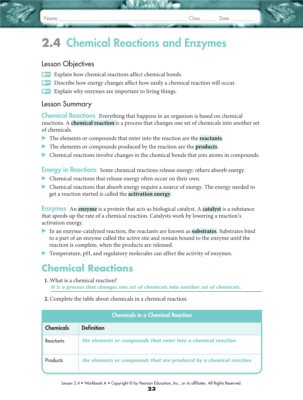 2.4 Chemical Reactions and Enzymes