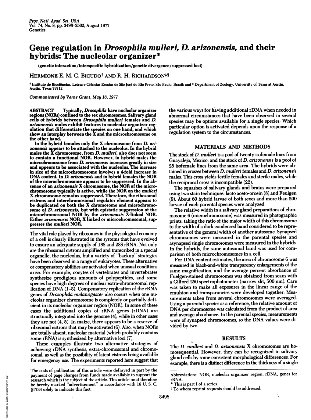 The Nucleolar Organizer* (Genetic Interaction/Interspecific Hybridization/Genetic Divergence/Suppressed Loci) HERMIONE E