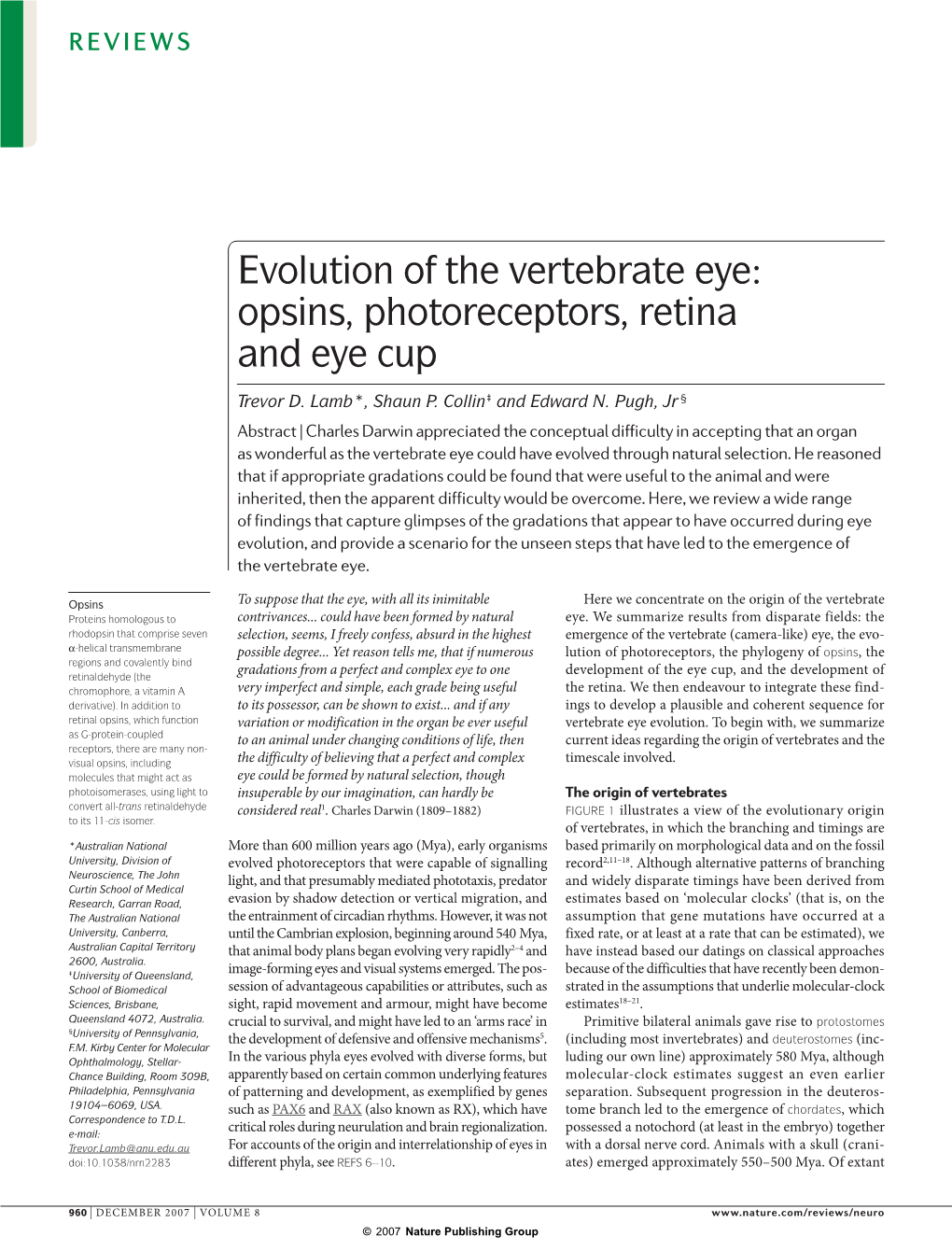 Evolution of the Vertebrate Eye: Opsins, Photoreceptors, Retina and Eye Cup