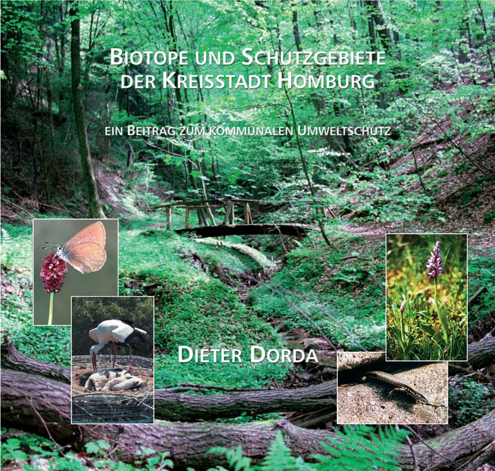 Biotope Und Schutzgebiete Der Kreisstadt Homburg 3