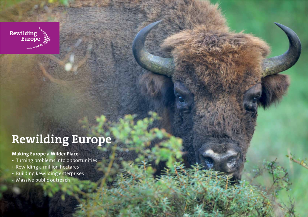 Rewilding-Europe-Brochure-2012.Pdf