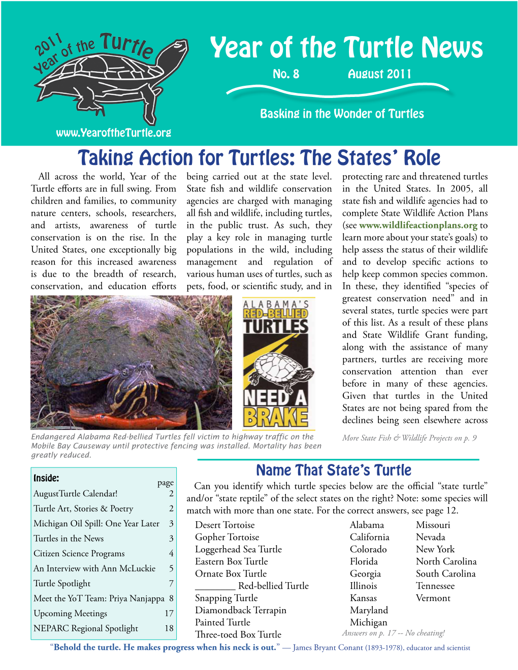 Year of the Turtle News No