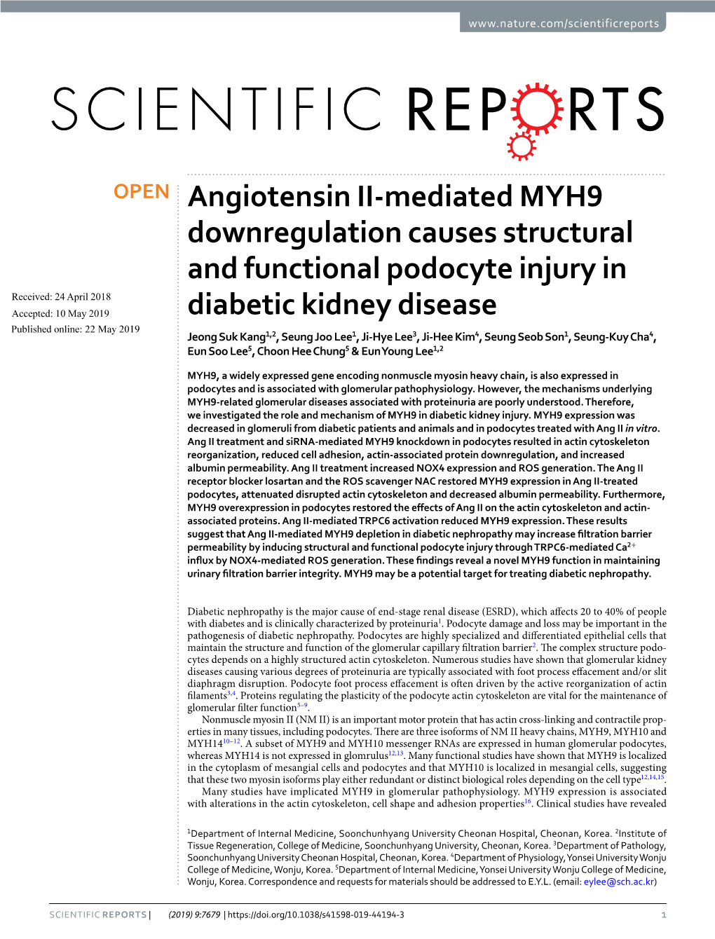 Angiotensin II-Mediated MYH9 Downregulation Causes Structural and Functional Podocyte Injury in Diabetic Kidney Disease