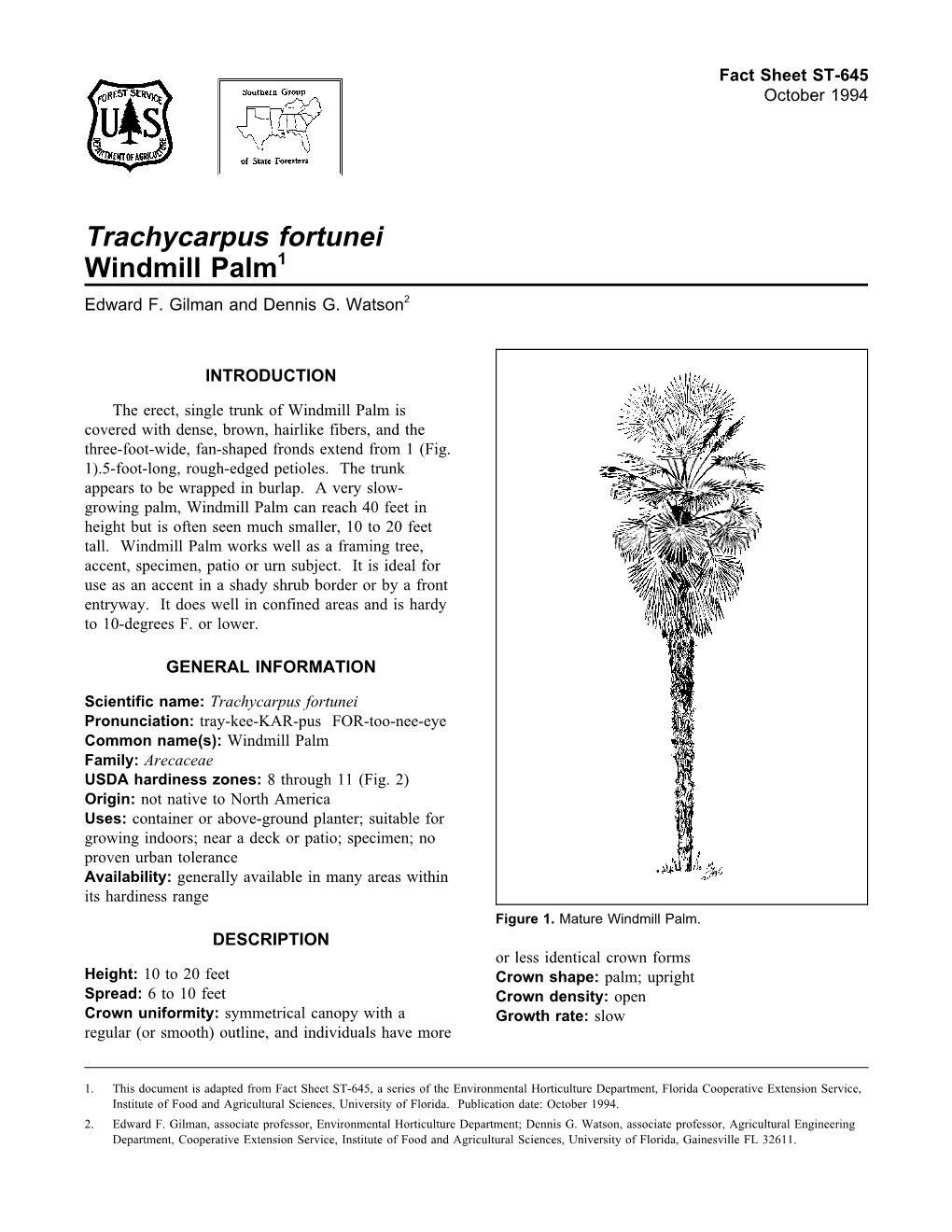 Trachycarpus Fortunei Windmill Palm1 Edward F