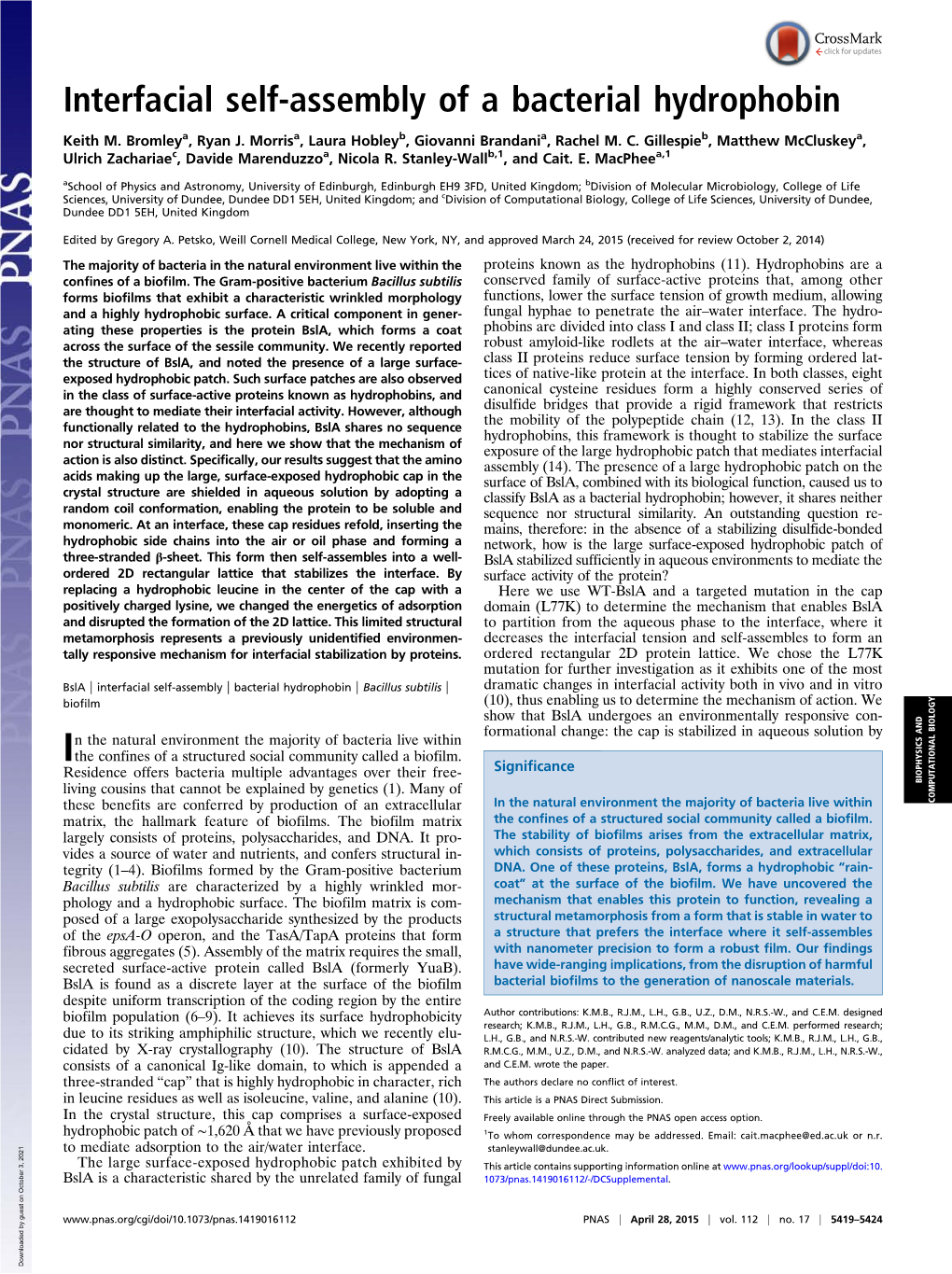 Interfacial Self-Assembly of a Bacterial Hydrophobin