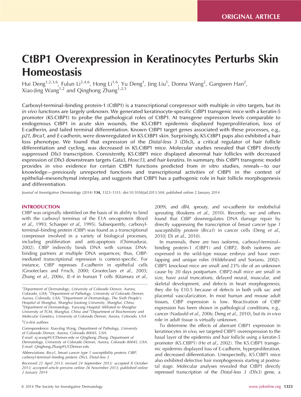 Ctbp1 Overexpression in Keratinocytes Perturbs Skin