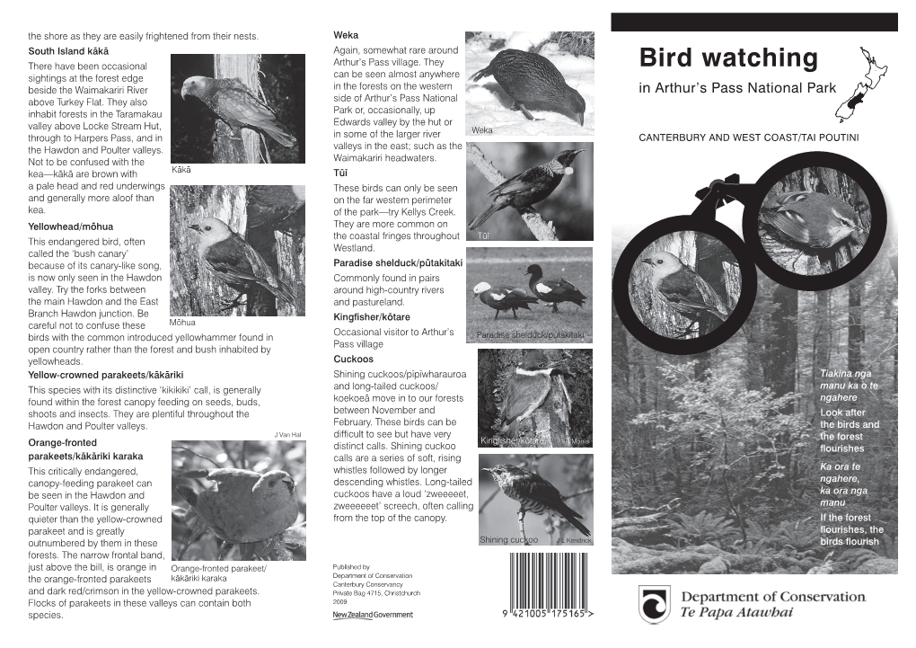 Bird Watching in Arthur's Pass National Park Brochure