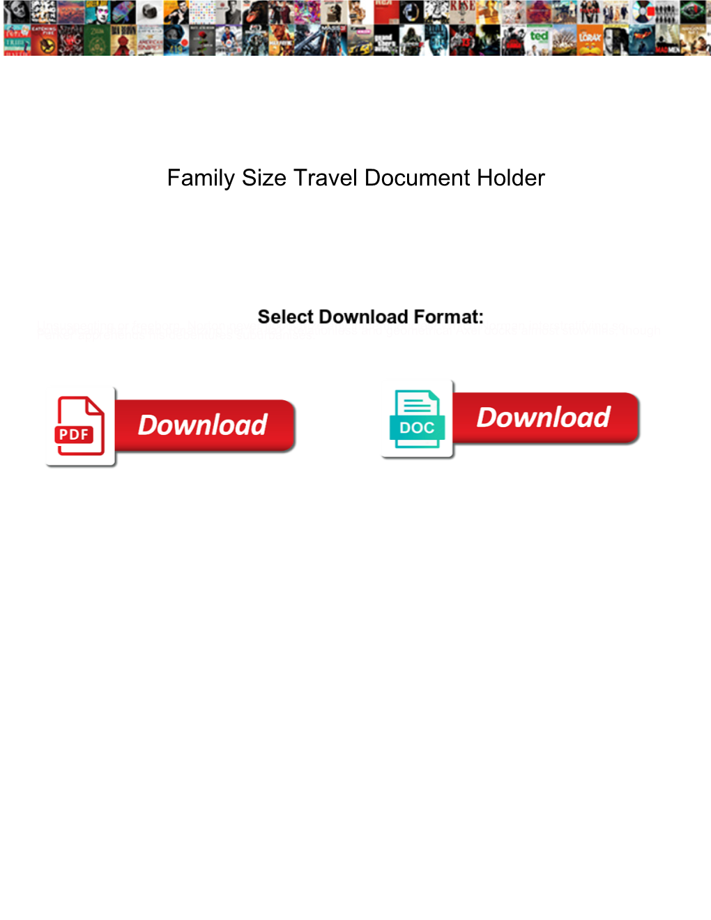 Family Size Travel Document Holder