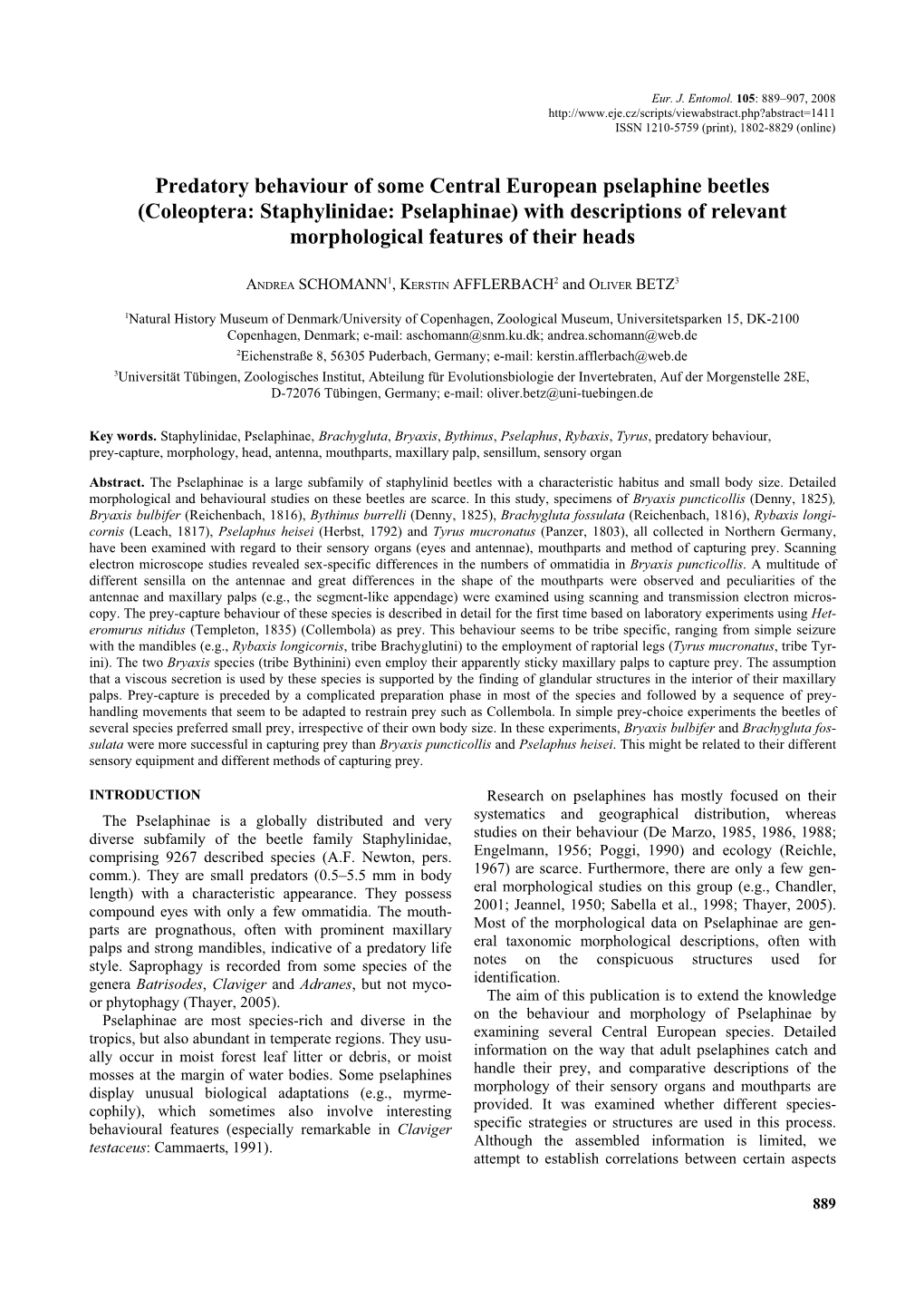 Coleoptera: Staphylinidae: Pselaphinae) with Descriptions of Relevant Morphological Features of Their Heads