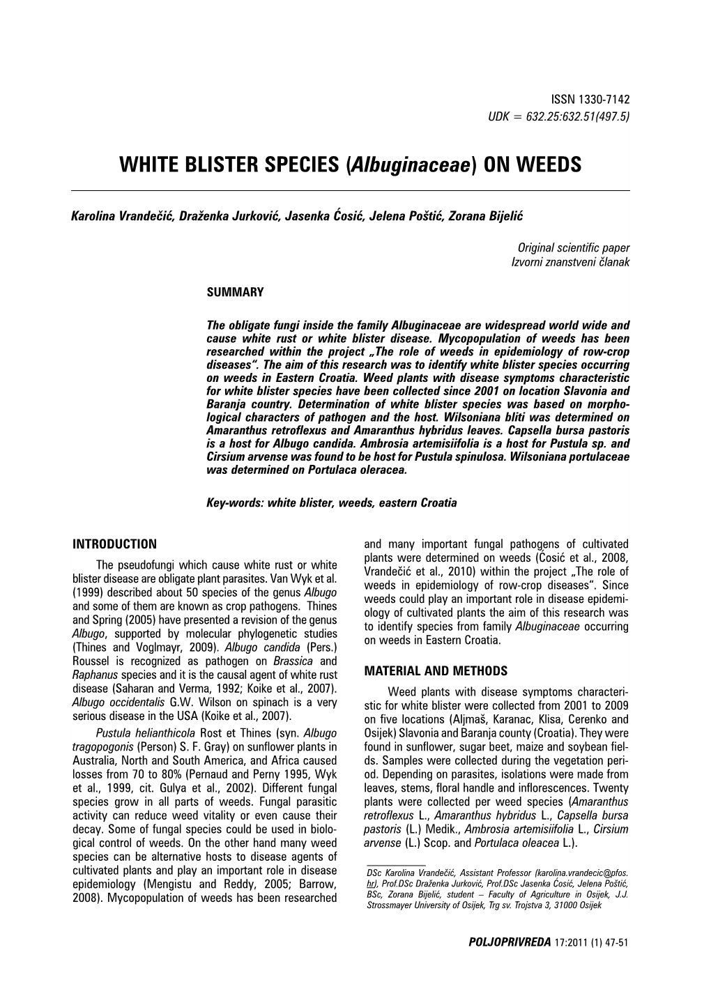 WHITE BLISTER SPECIES (Albuginaceae) on WEEDS