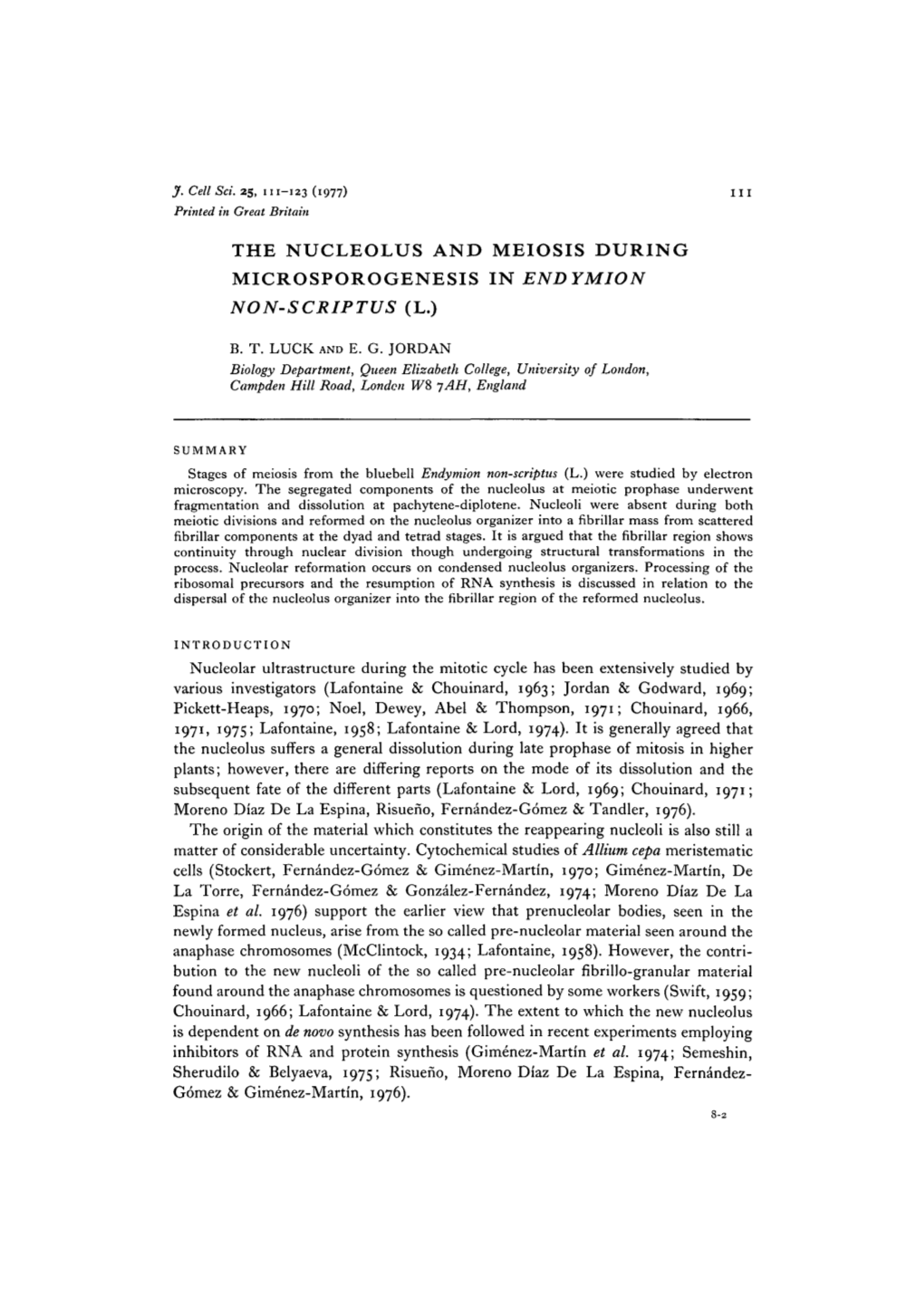 The Nucleolus and Meiosis During Microsporogenesis in Endymion Non-Scriptus (L.)