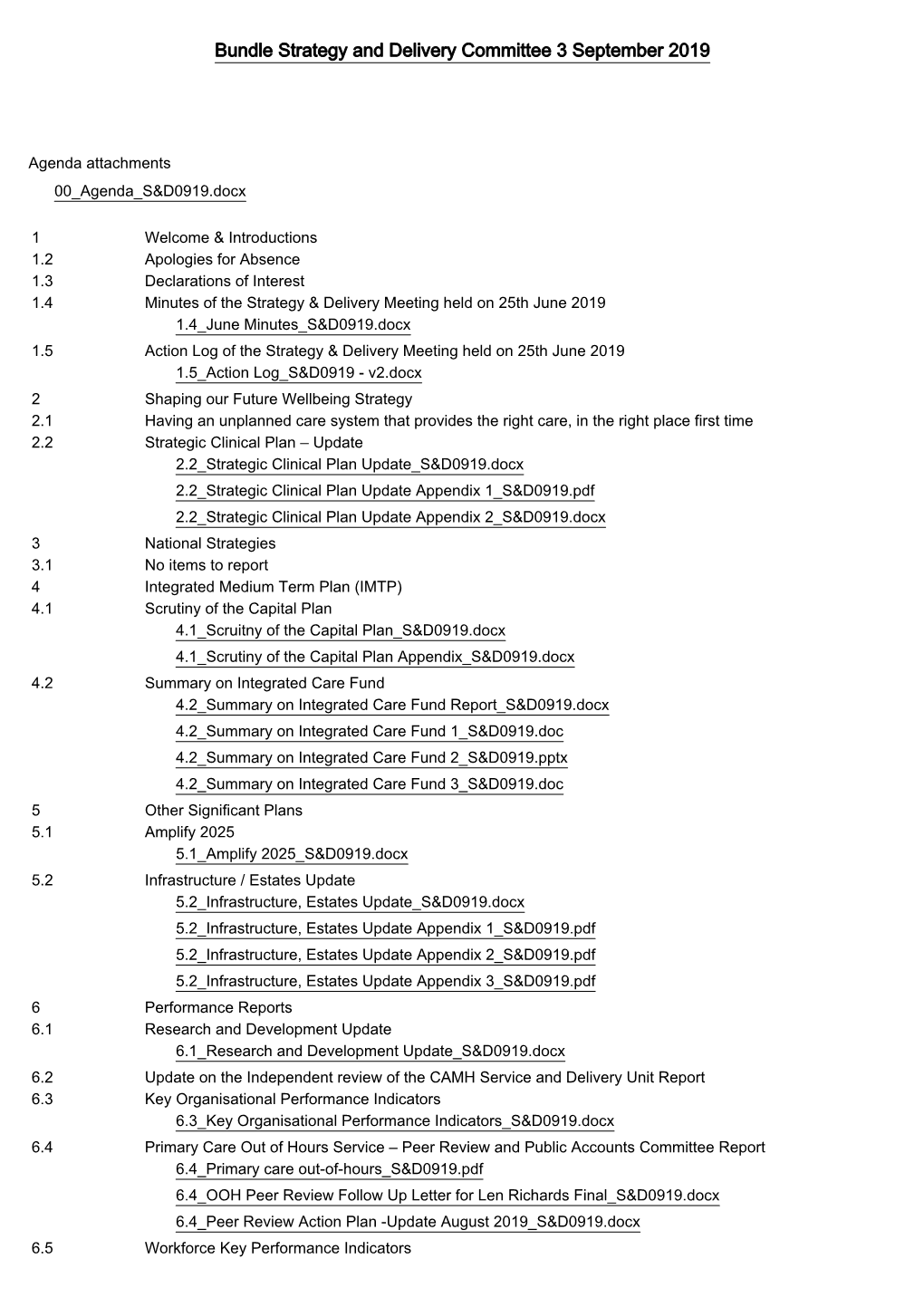 Bundle Strategy and Delivery Committee 3 September 2019