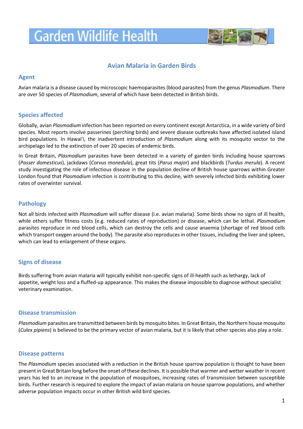 Avian Malaria in Garden Birds Agent Avian Malaria Is a Disease Caused by Microscopic Haemoparasites (Blood Parasites) from the Genus Plasmodium
