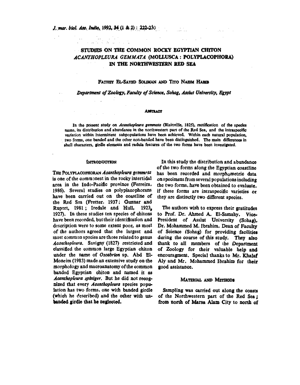 122-2^0 Studies on the Common Rocky Egyptian Chiton