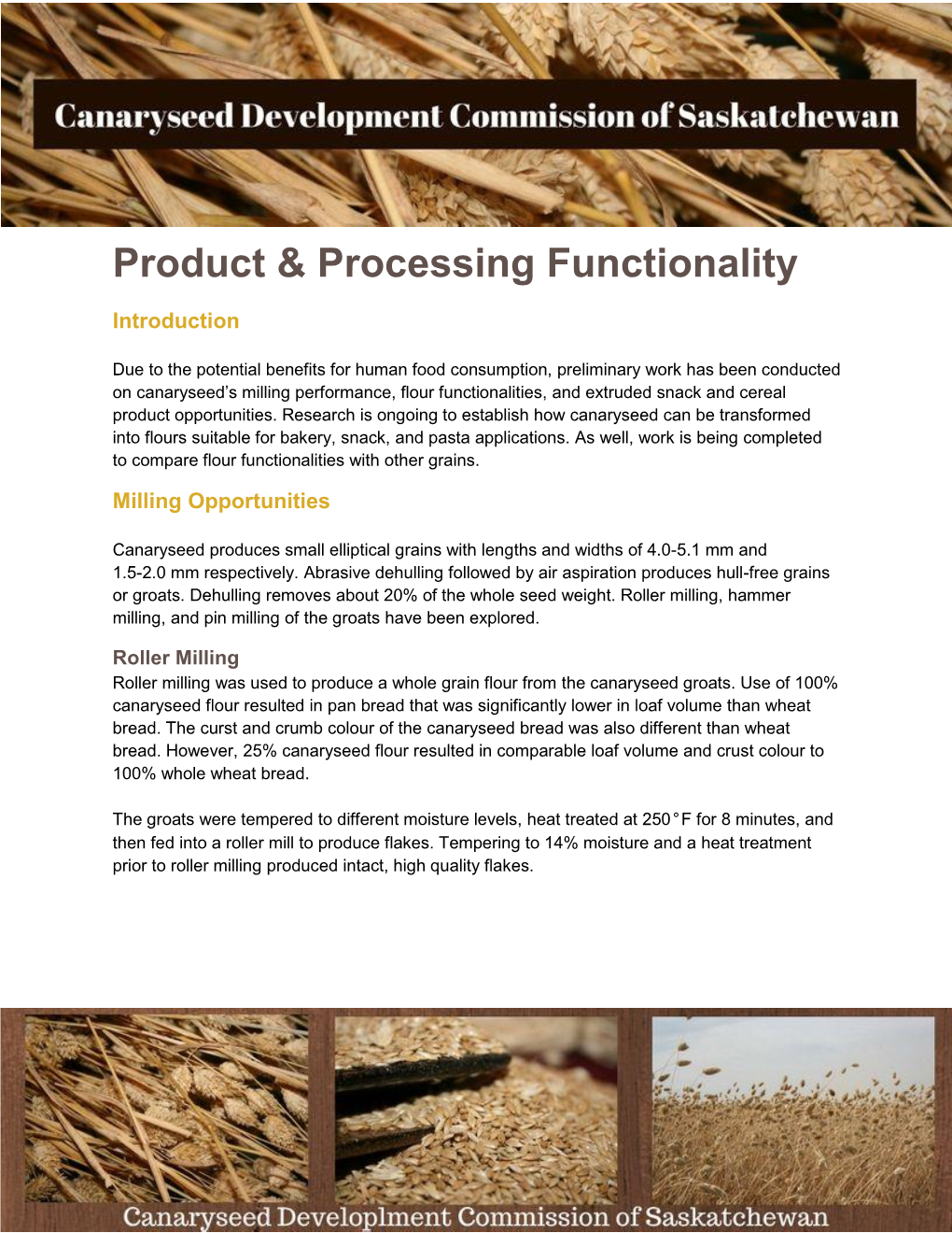 Product & Processing Functionality